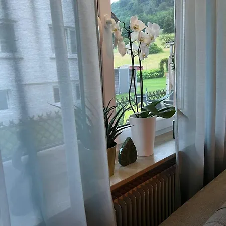 Feriendomizilaufderzollernalb * Albstadt
