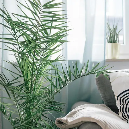 Feriendomizilaufderzollernalb * Albstadt